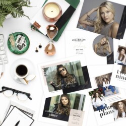 2019 Spring Card & Luxe Collection BUNDLE