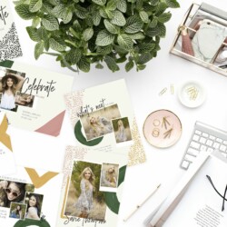 Painters Palette | Card & Luxe Collection