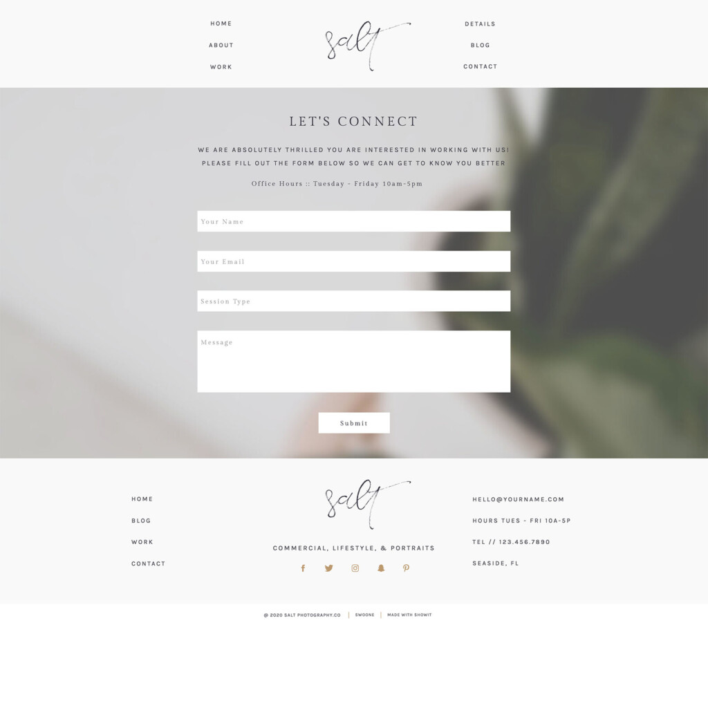 Salt Website Template