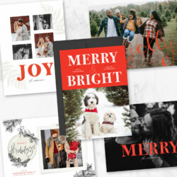 Sleigh Ride | Holiday Cards