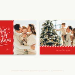 Through the Woods | Holiday Cards