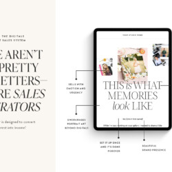 Beyond-the-Digitals-Product-Sales-System---04